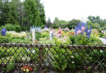 St. Albert Botanic Park – дивовижний світ рослин