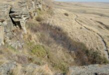 Кар’єр Предків у Альберті – археологічна пам’ятка Альберти