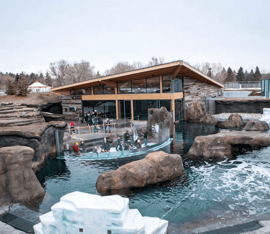 История легендарного “Valley Zoo”