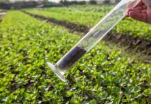 Вплив сільського господарства на водойми та ґрунти Альберти