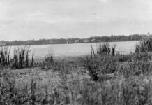 The Tragic Tale of Edmonton’s Lost Lake