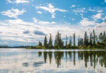Big Island: A Natural Oasis on the North Saskatchewan River