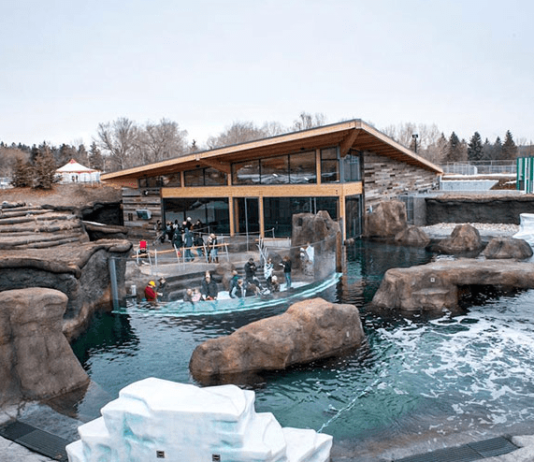 The History of the Legendary Valley Zoo