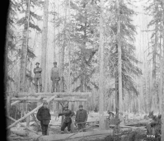 The Emergence of the Forestry Industry and Wood Utilization in Alberta