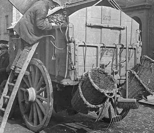 The History of Waste Disposal in Early 20th-Century Edmonton