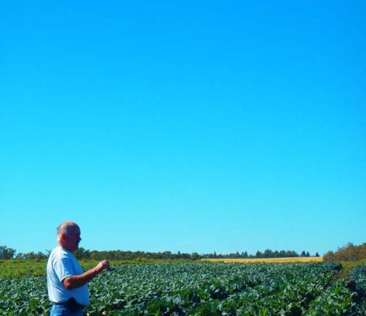 The Story of Lund’s Organic Farm: A Family Eco-Farm