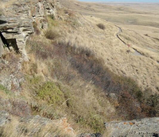 The Quarry of Ancestors in Alberta – An Archaeological Landmark