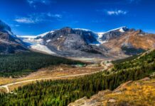 The State of the Boreal Forest in Alberta