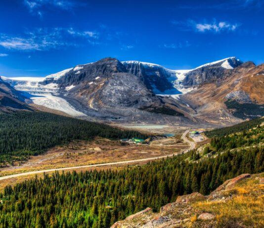 The State of the Boreal Forest in Alberta