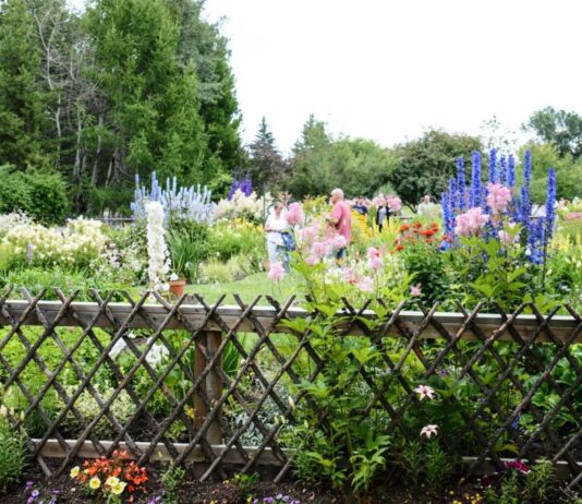 St. Albert Botanic Park: A Marvel of Plant Life