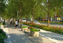 Зеленое строительство в Эдмонтоне