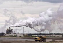 How Edmonton Businesses Impact the Environment