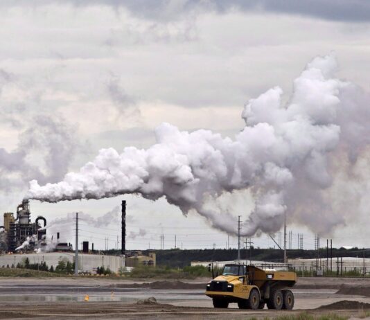 How Edmonton Businesses Impact the Environment