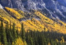 Mineral Resources of Alberta