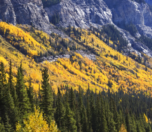 Mineral Resources of Alberta