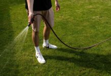 How to treat treat your grass after winter – 5 essential lawn care steps