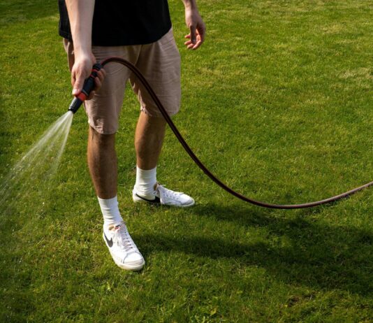 Як доглядати за газоном після зими – 5 основних кроків догляду