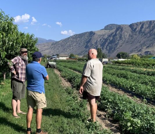 Top Organic Farms in and Around Edmonton