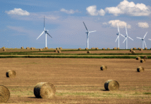 Renewable Energy in Alberta: Problems and Challenges