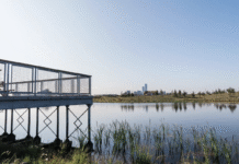 Eco-Living in Edmonton: The Blatchford Project