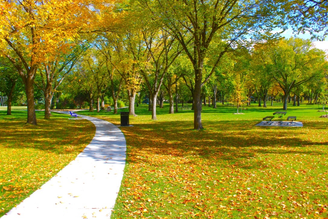 Borden Park scenery
