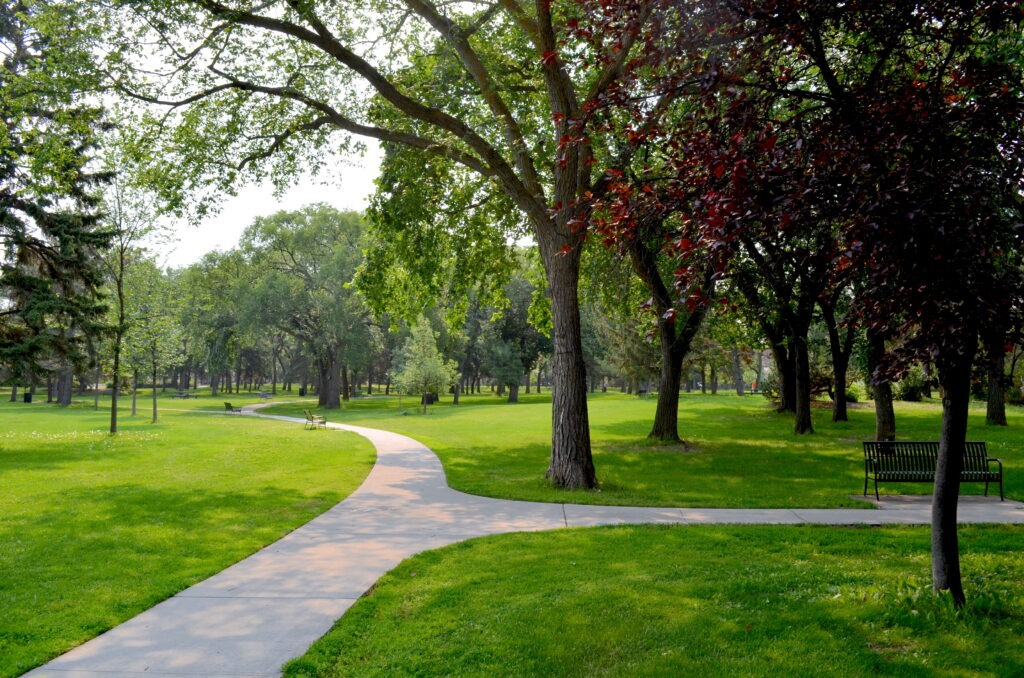Flora and fauna in Borden Park