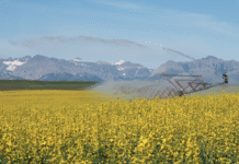 Agriculture in Alberta: Climate Impacts, Smart Tech, and the Drive for Sustainability