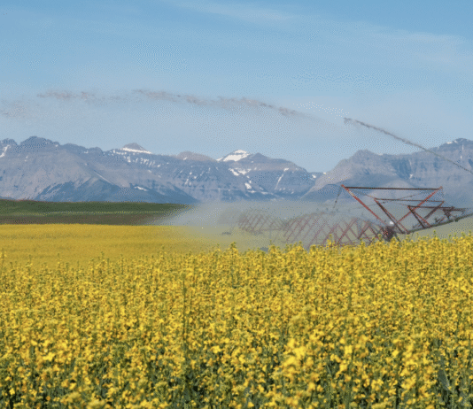 Agriculture in Alberta: Climate Impacts, Smart Tech, and the Drive for Sustainability