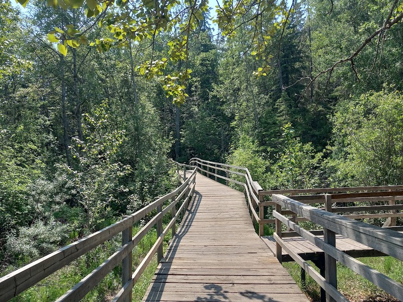 Buena Vista Park