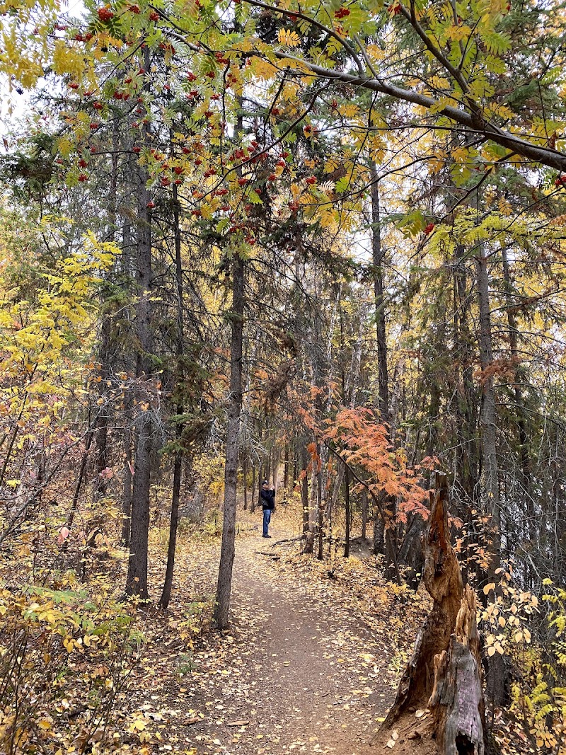 Buena Vista Park