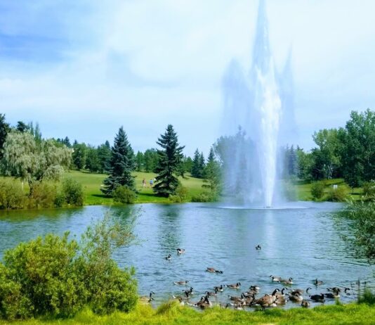 Rundle Park