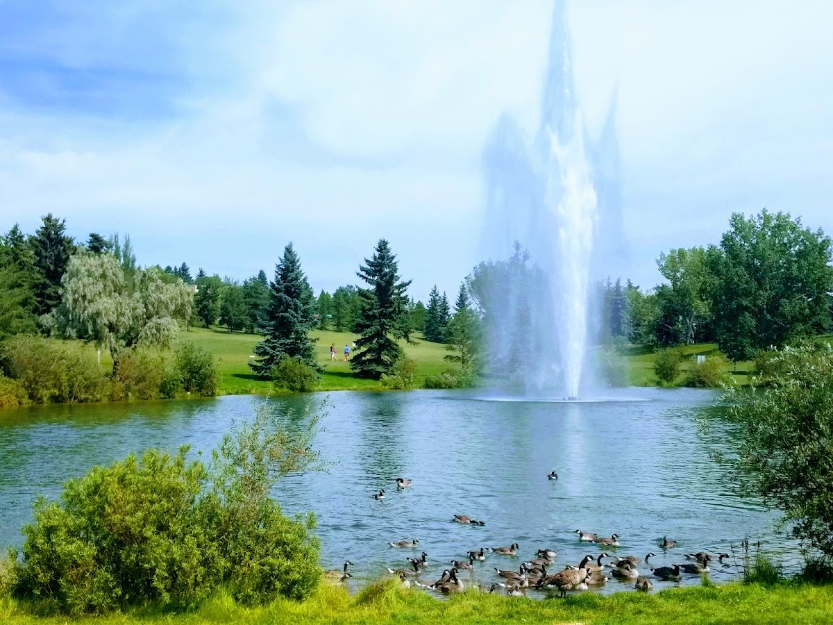 Rundle Park — Park