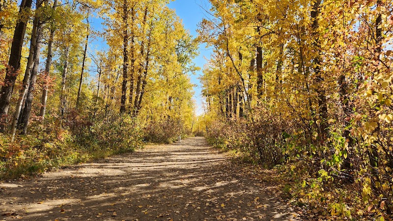 Terwillegar Park
