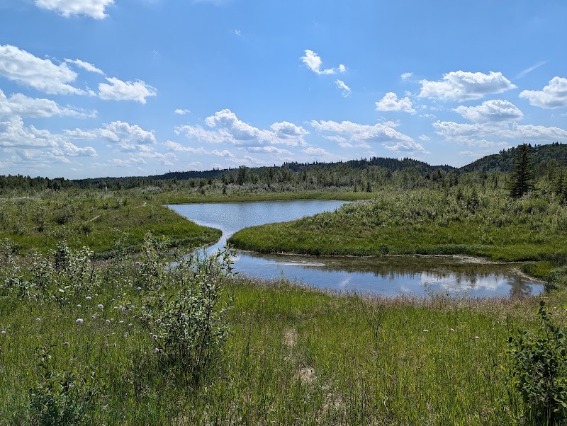 Terwillegar Park