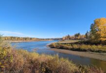 Whitemud Park