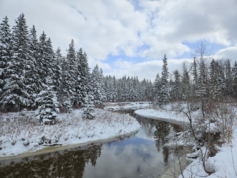 Whitemud Park