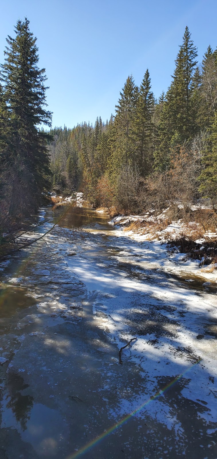 Whitemud Park