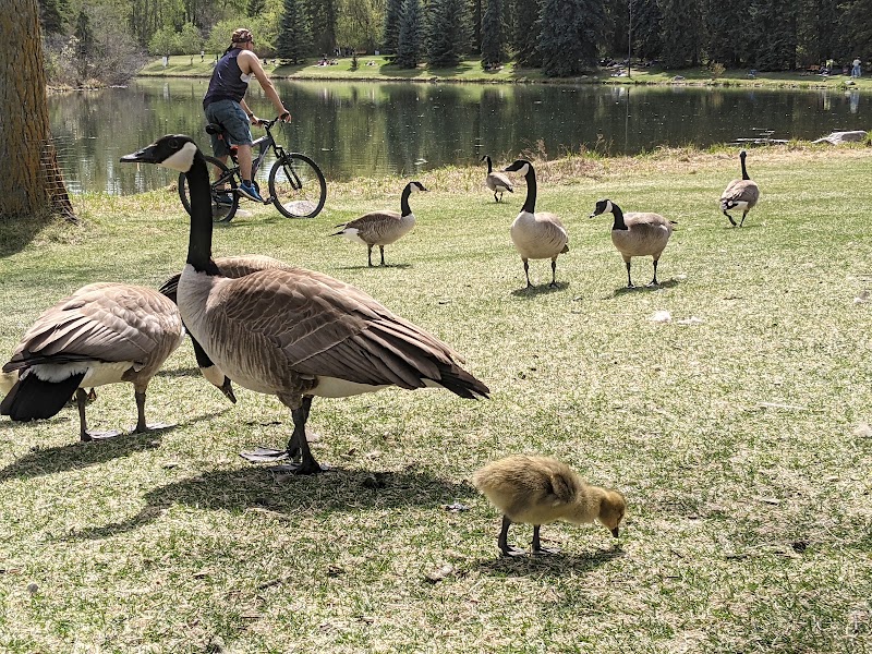 William Hawrelak Park
